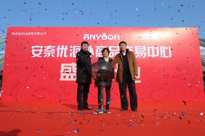 无需漂洋过海代购，西咸空港安奈优让你一切无忧——陕西货物进出口的新篇章