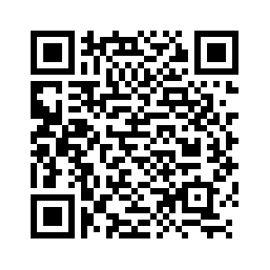 2023年陕西货物贸易进出口总值达4042.06亿元 逆势增长背后的韧性探析