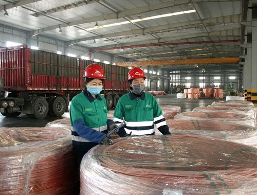 陕西优质产品扬帆出海，开拓国际市场新篇章