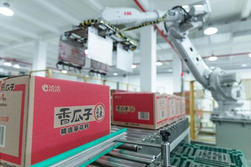 走进洽洽透明工厂，看一颗坚果如何驱动陕西外贸新质生产力